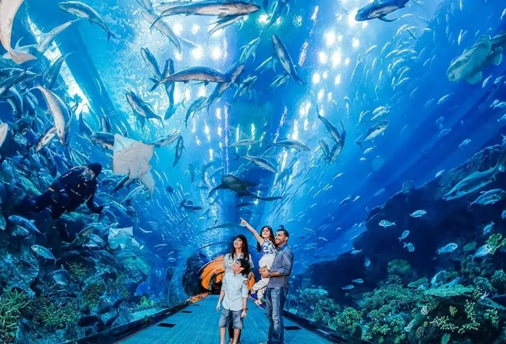 Aquarium Summer Activities for Kids